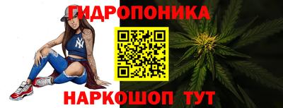 прущие грибы Донецк